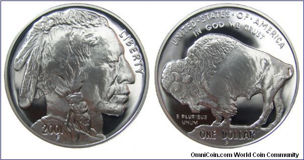 2001-P American Buffalo Commemorative Dollar.