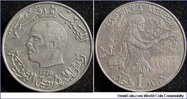 1 Dinar
Cu-Ni
F.A.O. issue