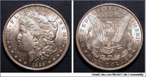 1889 Morgan Dollar