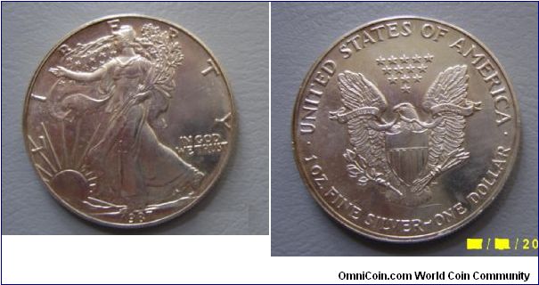 Fine Silver One Dollar