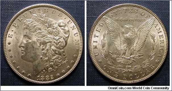 1882 Morgan Dollar