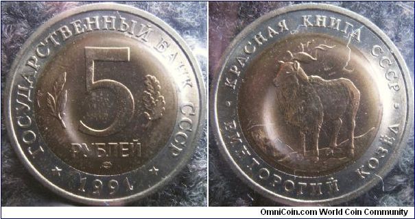 Russia 1991 5 rubles. Commemorates a mountain goat which is featured in a Red Book (endangered animal species). Minted in LMD. The first time Russia (or during the Soviet Union era) has minted such bi-metal coins.

Nicked here and there for some reason.