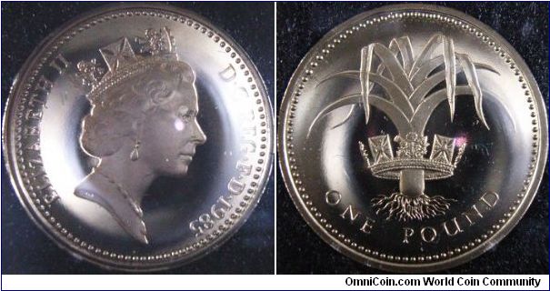 UK 1985 proof 1 pound. Featuring a leek through a royal crown. With milled edge and text inscription of PLEIDIOL WYF I'M GWLAD - True am I to my country. Struck in nickel-brass.