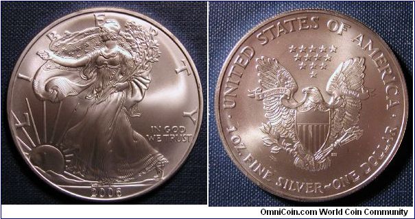 2006 Silver American Eagle