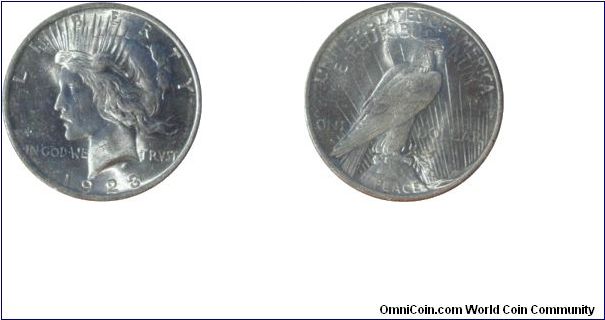 Peace Dollar