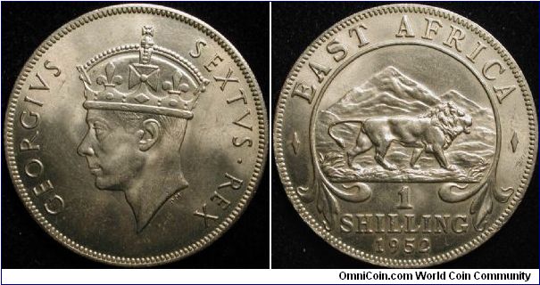 1 Shilling
Cu-Ni
George VI