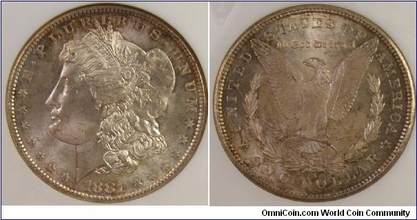 1881 s dollar
vam 55 s over s
Toned  Looks like doubled first 8 left inside top loop