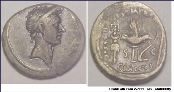 Augustus denarius