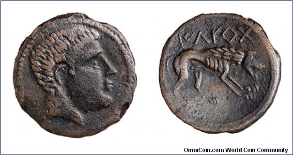 Celtiberian bronze of Ilerda. Beardless male right on obverse. 
Wolf right on reverse with Celtiberian script (Iltirta) above. Struck between 80 and 72 B.C.