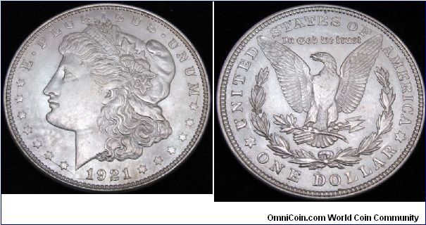 1921P VAM3B Pitting thru D in DOLLAR plus die chip in denticles under O in DOLLAR