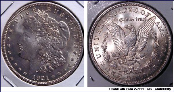 1921P VAM41 Pitted Die Top 100 coin