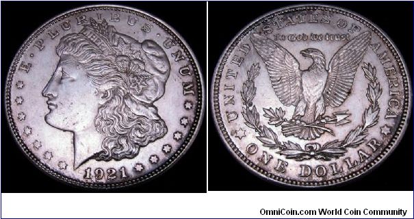 1921P VAM1G Polished Die & die gouge at eagle's wingtip