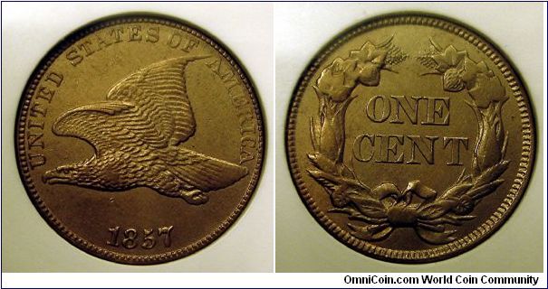 Flying Eagle cent, Au details, Net Xf-45, cleaned: Anacs. Even under a 16X loupe I can't detect what was cleaned, maybe it was dipped. Still a beauty.