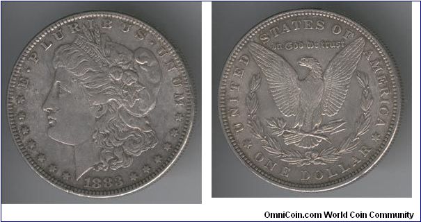 1883 Morgan, raw