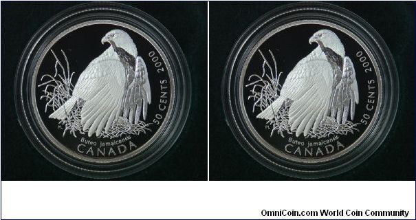 50 Cent Silver Set-Birds of Prey

Red Tailed Hawk