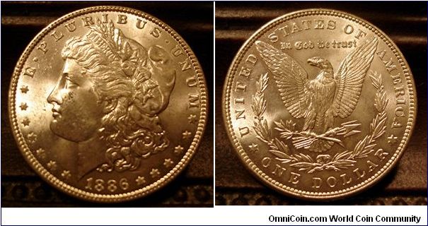 1886 Morgan: raw. Ms-64/65