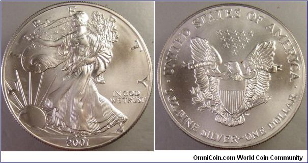 Silver Eagle