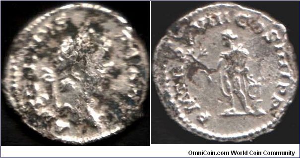 Not so nice portrait silver  denarius of Caracalla (212 -217AD), Apollo reverse. I need to do a bit of conserving on this coin.