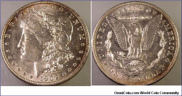 Morgan Dollar