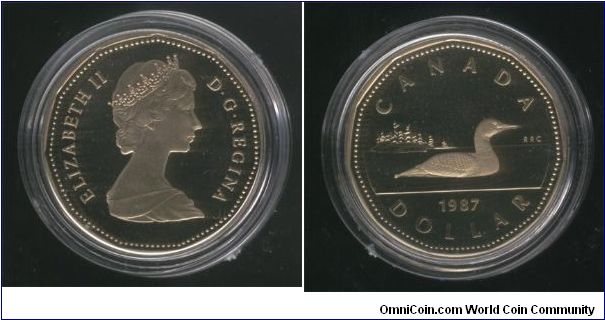 Canadian Loon one dollar proof.