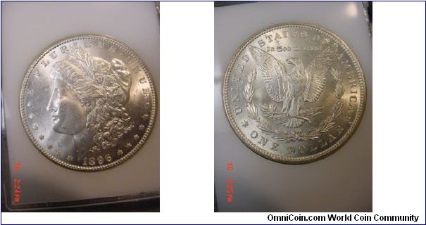 1896 morgan dollar bu