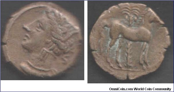 Exceptionally nice example of a Carthaginian (Zeugitania) bronze. Obverse Tanit crowned with wheat ears. Reverse Horse standing in front of palm tree.