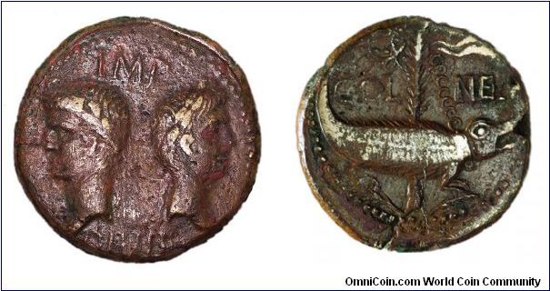 As struck at Nemausus. ca 10 BC - 10 AD.
Obv: Agrippa facing left, Augustus right. IMP DIVI F
Rev: Crocodile chained to palm tree, wreath and fillet in upper field. COL NEM