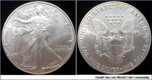 1 Dollar
Fine silver
1 oz / 31.101g