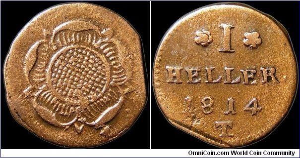 1 Heller, Lippe-Detmold.

Harshly cleaned.                                                                                                                                                                                                                                                                                                                                                                                                                                                                        