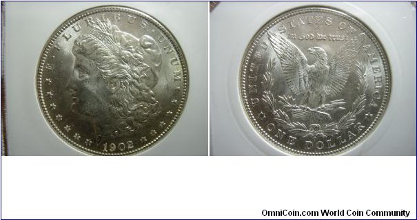1902-0 PCI- Graded MS-64 Morgan Silver Dollar