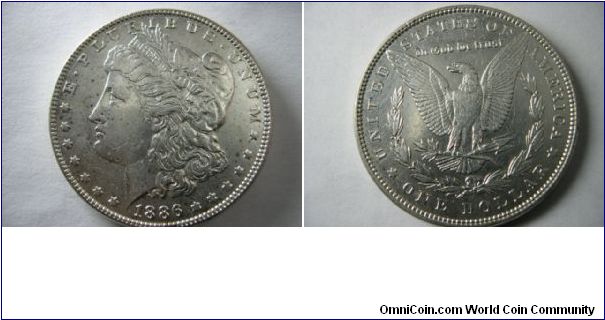 1886 P Morgan