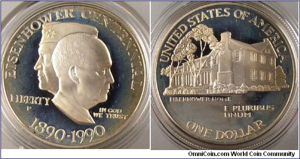 Eisenhower Dollar 
hazy needs a bath