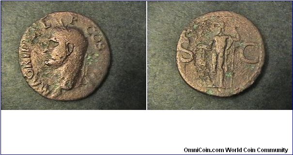 Issued by Caligula

Obv: MAGRIPPA LF COS III
Rev: SC, Neptune standing left holding trident
AE/Dupondis, 27mm 10.1 grams
