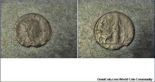 Gordian III 238-244 AD
Roman Provinical, Viminacium, Moesia

Obv:IMP CAES ANT GORDIANVS AVG
Rev:PMS COL VIM

AE/22mm 2.7 grams