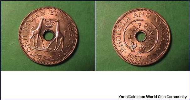 QUEEN ELIZABETH THE SECOND
RHODESIA AND NYASALAND 
HALF PENNY
bronze
