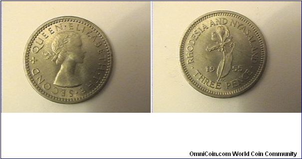 RHODESIA & NYASALAND

ELIZABETH THE SECOND QUEEN
THREE PENCE
copper-nickel