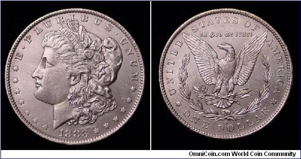 1883 Morgan

***Private Collection***