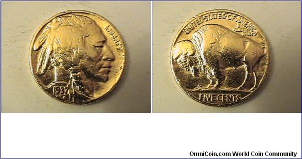 Another 1937 Gold Plated Buffalo Nickel