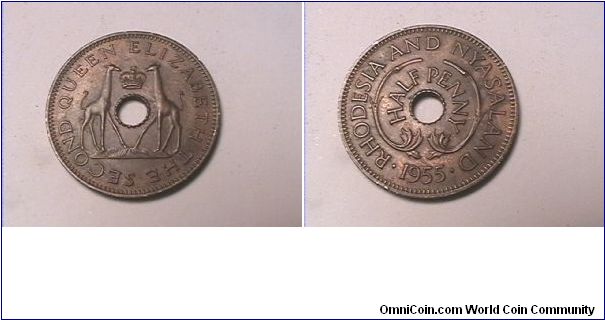 QUEEN ELIZABETH THE SECOND
RHODESIA AND NYASALAND
HALF PENNY
bronze