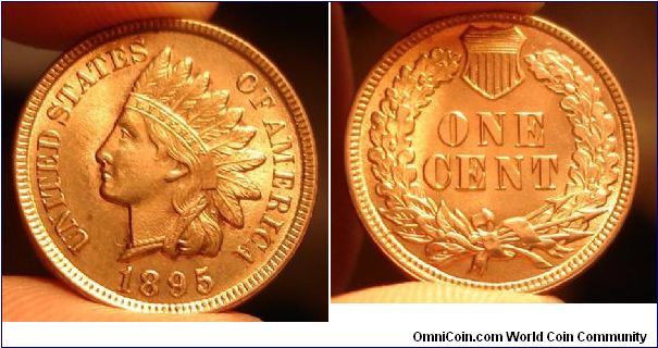 Bright red UNC Indian head cent, a nice addition to go with my 1895 proof. My first red Unc Indian cent.