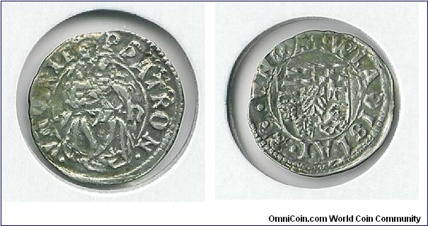 Double struck denar from Hungary during Ulaszlo II's reign (1490-1516).