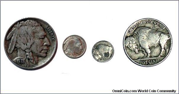This is showcasing the miniature 1938 die struck nickel.  This picture represents the actual size compared to a normal same year buffalo nickel.