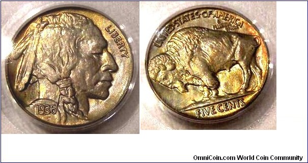 Buffalo Nickel PCGS MS64 - virtual Gem in my opinion.