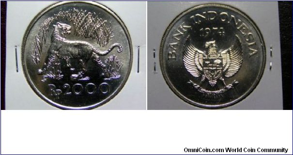 2000 Rupee silver large coin, Java tiger