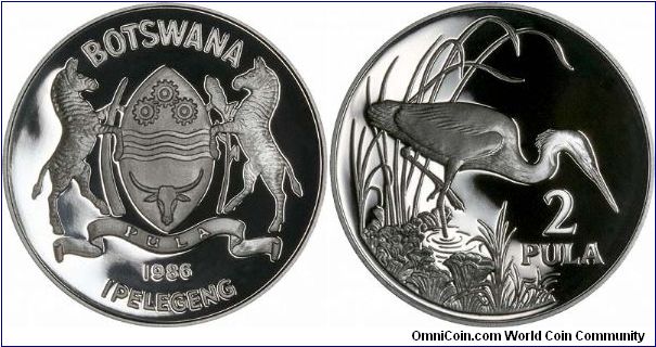 Slaty Egret, on reverse of silver proof 2 Pula, issued as part of a World Wildlife Fund silver proof crown collection.