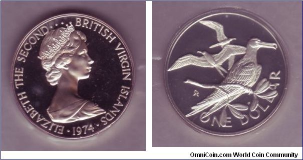 British Virgin Islands - $1 - 1974

Birds feature on all British Virgin Island Coins.  

All images are from a sealed Proof set, hence weird effects on some coins