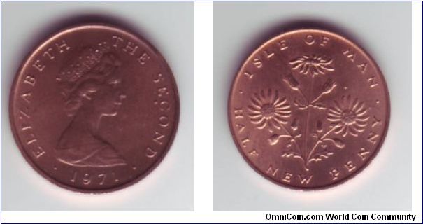 Isle Of Man - 1/2p - 1971

First decimal 1/2p design showing a Ragwort long, a common yellow flower regarded as a national flower of IOM