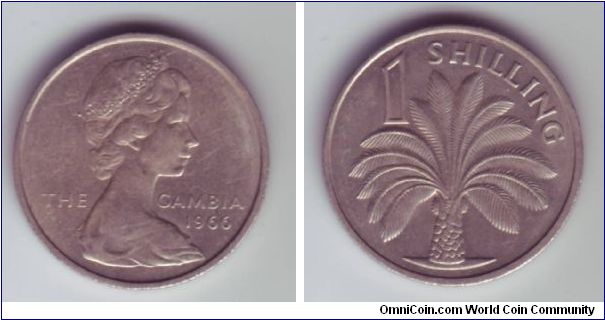 The Gambia - 1 Shilling - 1966

Same size as the UK 1 Shilling coin, this design depicts a local flower.

A similar design is in use on the 25 Bututs coin.