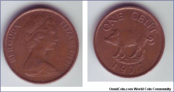 Bermuda - 1c - 1977

Coin from Bermuda depicting a local pig/boar.

This issue has the Type 2 head