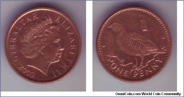 Gibraltar - 1p - 2003

1p coin, showing  a bird on the reverse and the Type 4 head on the front